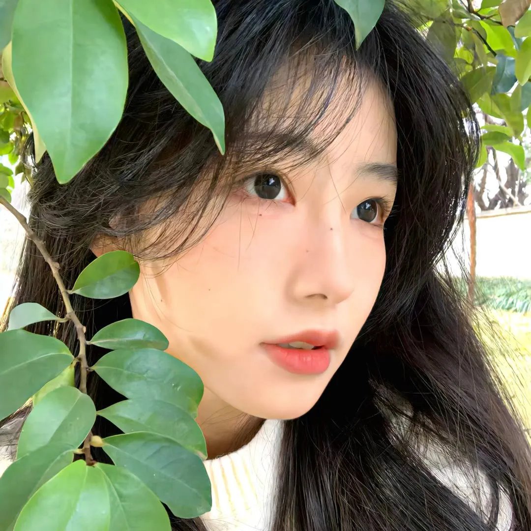 我家的陌生人